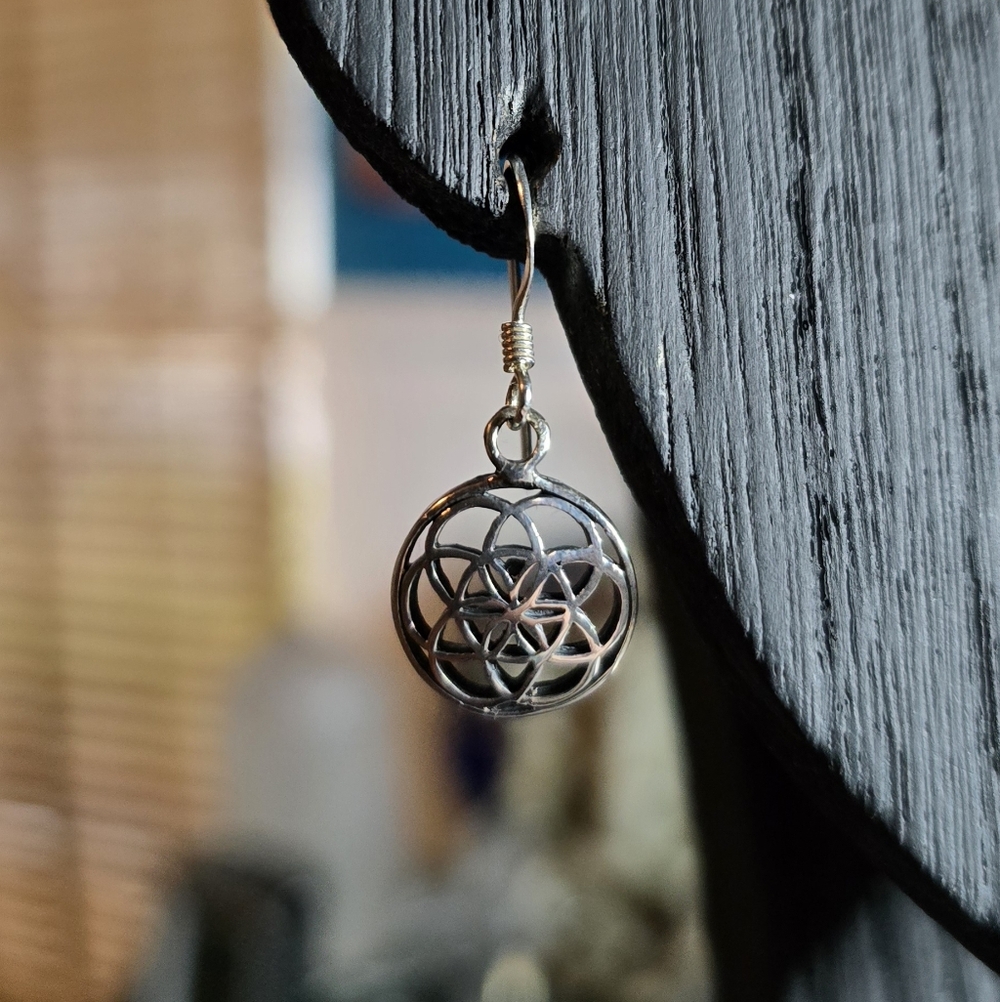 Elegant Silver Geometric Earrings